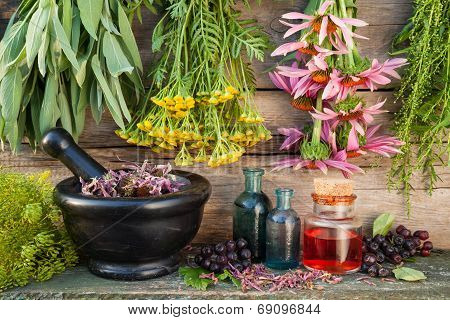 Bunches Of Healing Herbs On Wooden Wall, Mortar, Bottles And Berries