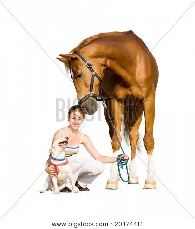 dog, girl and horse