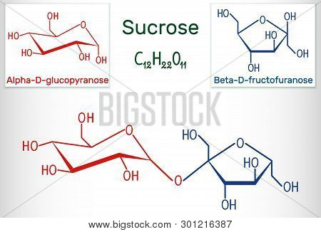 Sucrose Sugar Molecule. Structural Chemical Formula And Molecule Model. Vector Illustration