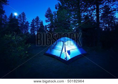 Forest Camping - Tent