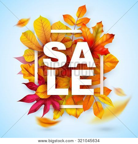 Autumn Sale. Seasonal Fall Promotion Design With Red And Yellow Realistic Leaves. Thanksgiving Octob