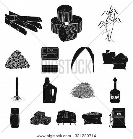 Isolated Object Of Sucrose And Technology Logo. Collection Of Sucrose And Cane Stock Symbol For Web.