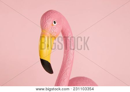 Pink Flamingo On A Pink Background