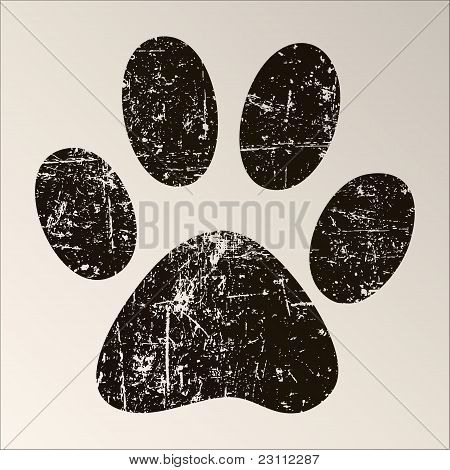 Paw Print