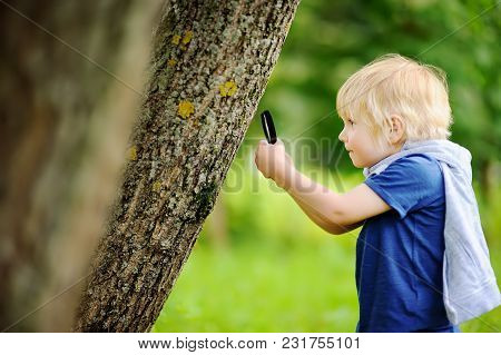 Charming Kid Exploring Nature With Magnifying Glass. Little Boy Looking At Tree With Magnifier. Summ