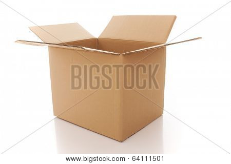 Open cardboard box isolated on white