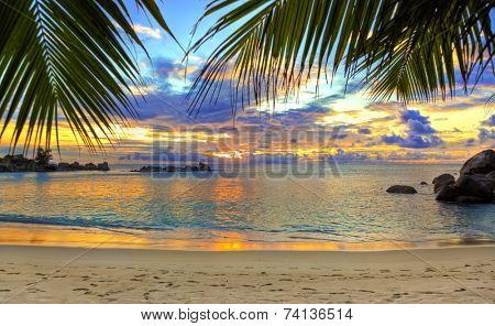 Tropical beach at sunset - nature background