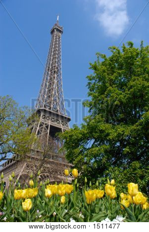 Spring In Paris, Eiffel Tower