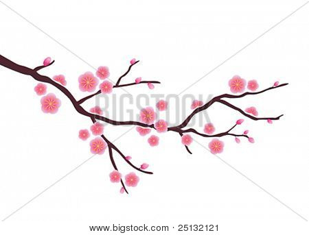 Vector Cherry blossom in spring time