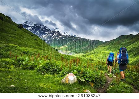 Hiking In The Mountains. Tourists With Backpacks In Mountain. Trekking In Svaneti Region, Georgia. T