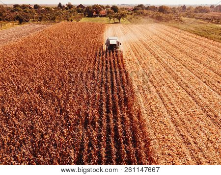 Aerial Photography Of Combine Harvester Harvesting Corn Crop Field From Drone Point Of View