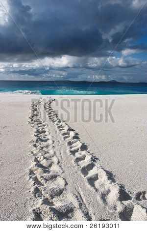 Track of an endangered Hawksbill Turtle disappearing into the sea under a lowering sky. Taken on Fregate Island resort, Seychelles, looking towards other islands in the group.