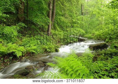 Forest stream Nature background landscape river Nature background Nature landscape brook Nature background spring Nature green landscape trees water Nature landscape foliage landscape waterfall Nature background Nature landscape woods Nature background.