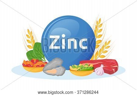 Products Rich In Zinc Cartoon Vector Illustration. Minerals In Seafood, Beef. Garlic And Nuts Health