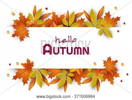 Autumn composition. Concept Hello fall. Creative Top view Flat lay. Autumn composition. Concept Hello fall. Creative Top view Flat lay. Autumn Background with falling leaves, Web Autumn Banner, shopping sale or seasonal poster, Autumn Postcard and Invitat