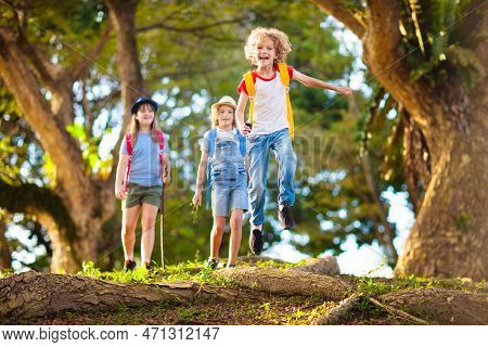 Kids Explore Nature. Children Hike In Sunny Summer Park. Scout Club And Science Outdoor Class. Boy A