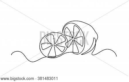 Continuous One Line Drawing. Lemon Lime Fruits. Vector Illustration. Continuous Line Drawing Of Lemo