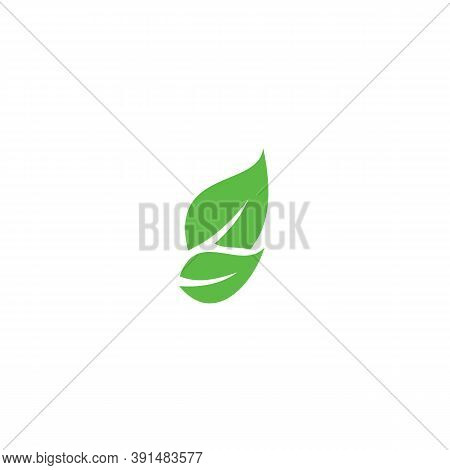 Leaf. Leaf Logo. Leaf Vector. Leaf Logo Vector. Leaves Logo. Leaf Vector Logo. Vector Leaf Logo. Nat