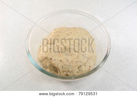 Risen Bread Dough