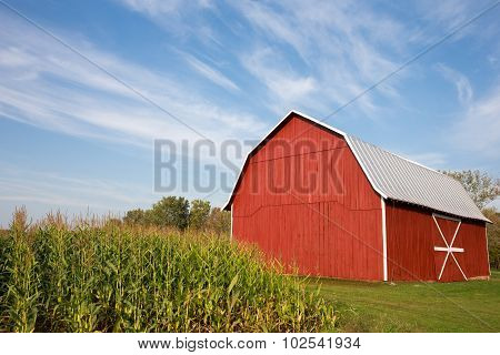 Red Barn With Corn And Dramatic Sky