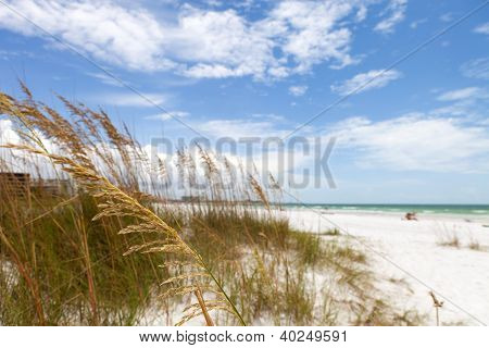 Siesta Key Beach Sarasota Florida