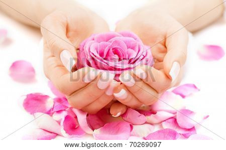 Manicure and Hands Spa. Beautiful Woman hands closeup. Manicured nails and Soft skin. Beauty hands with rose flower petals. Beauty treatment. Beautiful woman's nails with beautiful french manicure 