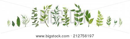 Vector designer elements set collection of green forest fern tropical green eucalyptus greenery art foliage natural leaves herbs in watercolor style. Decorative beauty elegant illustration for design