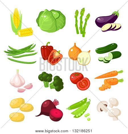 Set of cartoon food: vegetables - corn, cabbage, asparagus, eggplant, green bean, bell pepper, onion, cucumber, garlic, broccoli, tomato, carrot, potato and so. Vector illustration, isolated on white.