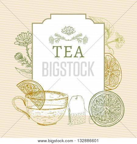 Tea time tea ceremonylemon mug of tea herbs vintage sketch vector