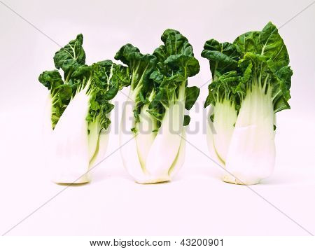 Bunch Of Fresh Baby Bok Choy, Brassica Rapa Chinensis,  Isolated On White Background