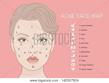 Acne Face Map. Vector illustration of beauty woman face. Viscera location map on the face. What your skin is telling you. Skin Mapping. The internal organs of the human icons set.