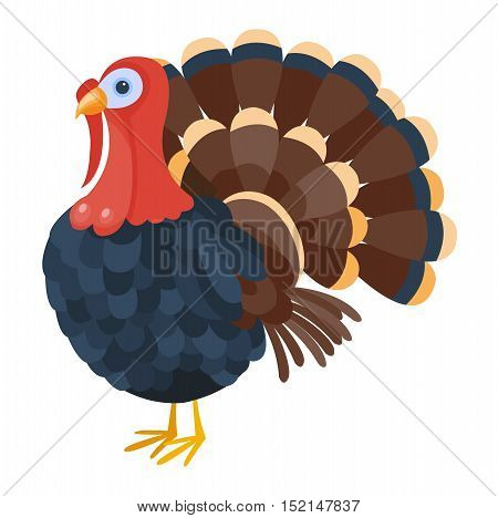 Cute cartoon turkey vector illustration. Cartoon turkey isolated on background. Turkey, bird, farm bird animal. Vector turkey farm animal. Cute turkey vector illustration. Turkey vector isolated