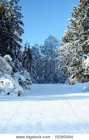 Beautiful winter scene, copy-space at the bottom.