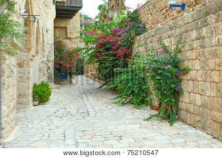 Typical view of Jaffa's narrow old alley