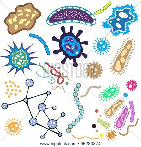 Bacteria, microorganism and virus cells isolated on white background. Vector Illustration