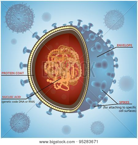 Blue virus cells or bacteria on background. Vector illustration