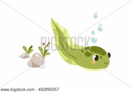 Cute Tadpole Swimming. Little Larval Froggy Floating. Baby Frog, Small Amphibian, Adorable Animal. F