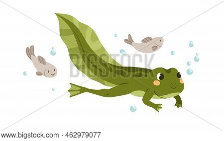 Cute Tadpole Swimming In Water. Little Baby Frog Floating. Green Amphibian, Adorable Froggy Animal. 