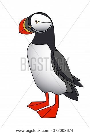 Cute Puffin With Red Beak & Paws, Seabird For Logo, Pattern Or Emblem, Color Vector Illustration Wit