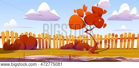 Autumn Backyard Garden With Wooden Fence Vector Illustration. Empty Fall Rural Back Yard With Stone 