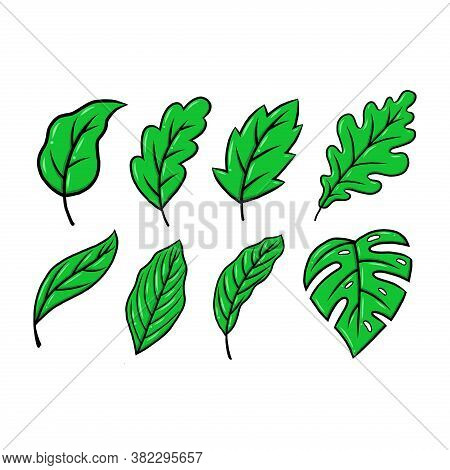 Leaf. Leaf Icon. Green Leaf Vector. Leaf Icon Vector. Leaves Icon. Leaf Vector Icon. Leaf Web Icon. 