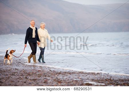 Senior Couple Walking Along Winter Beach With Pet Dog