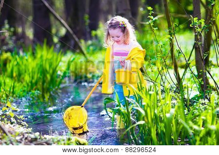 Little Girl Catching A Frog