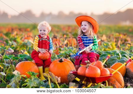 Kids Picking Pumpkins On Halloween Pumpkin Patch