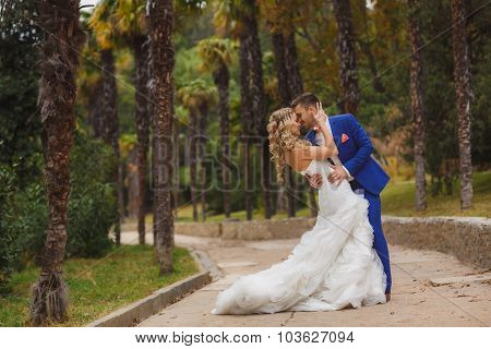 Beautiful wedding couple, happy bride and groom in nature.