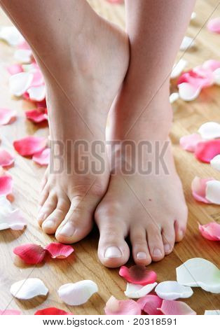 feet surrounded by rose petals