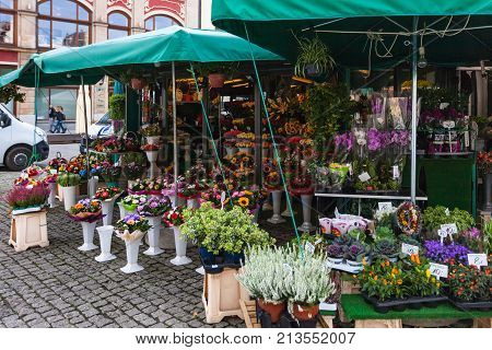 Flower Shop On Plac Solny Square In Wroclaw City