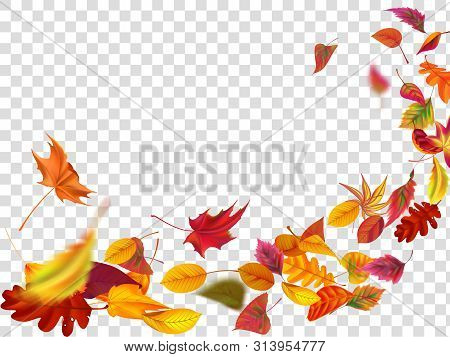 Autumn Falling Leaves. Leaf Fall, Wind Rises Autumnal Foliage And Yellow Leaves. Maple Tree Gold Fal