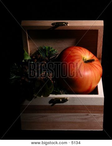 Apple In A Box