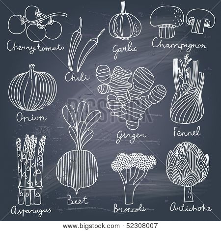 Tasty vegetables in vector set - cherry tomato, chili, garlic, champignon, onion, ginger, fennel, asparagus, beet, broccoli, artichoke. Tasty vegetarian  concept collection